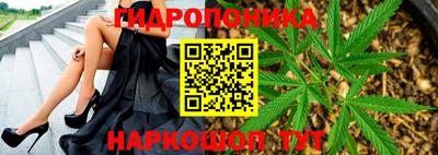 мдпв Краснодар