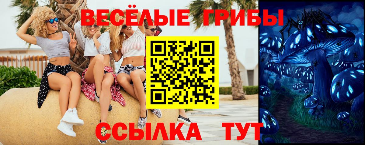 Дмитров  Псилоцибиновые грибы мицелий  Вход с VPN 