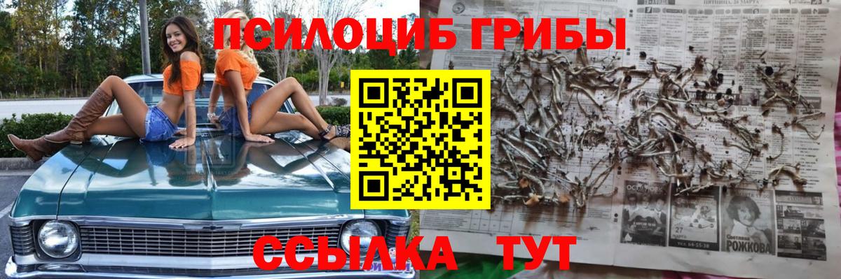 Галлюциногенные грибы ЛСД Дмитров